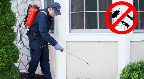 Çorlu Fare İlaçlama böcek ilaçlama ve haşere kontrolü — ilaclama-tr.com